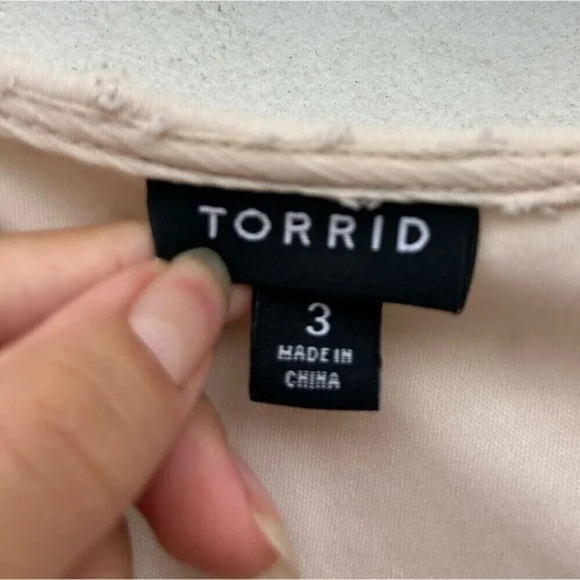 Torrid Pink Lily Ivory Swiss Dot Surplice Babydoll V Neck size 3 feminine boho - Picture 12 of 15